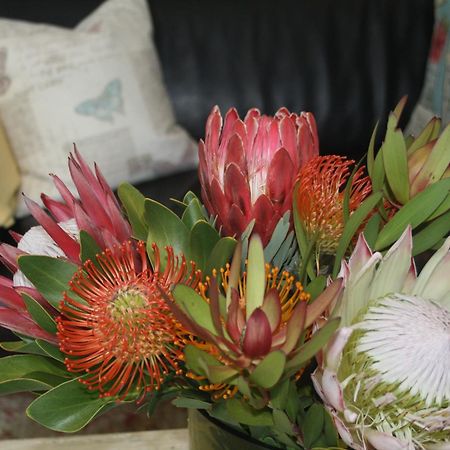 Tortelduif Cottage Stellenbosch Luaran gambar