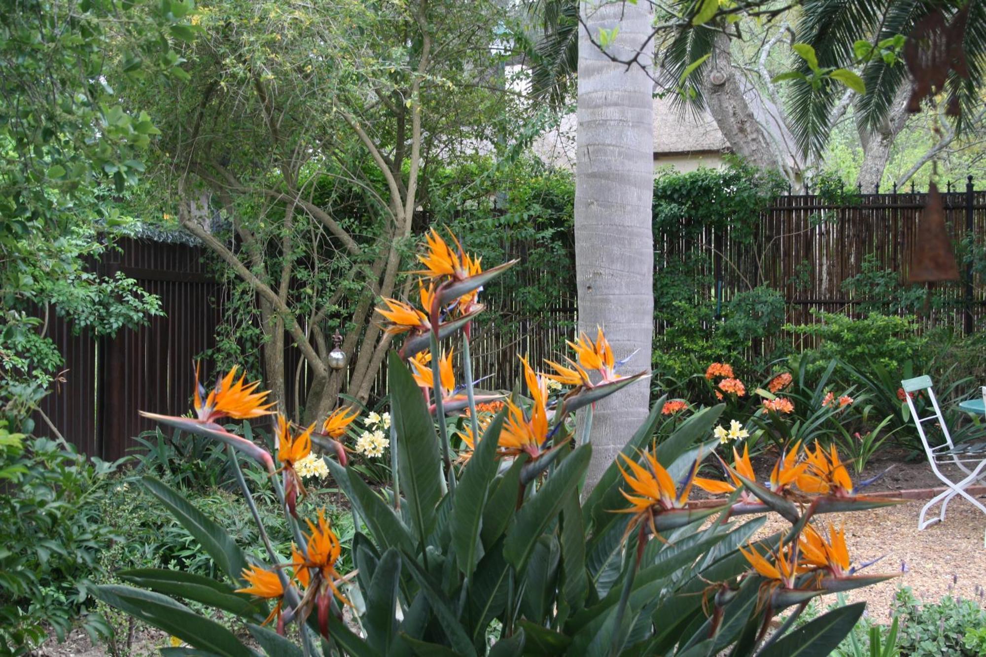 Tortelduif Cottage Stellenbosch Luaran gambar