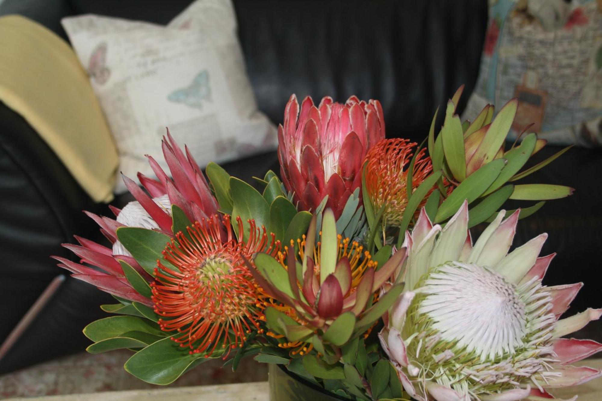 Tortelduif Cottage Stellenbosch Luaran gambar