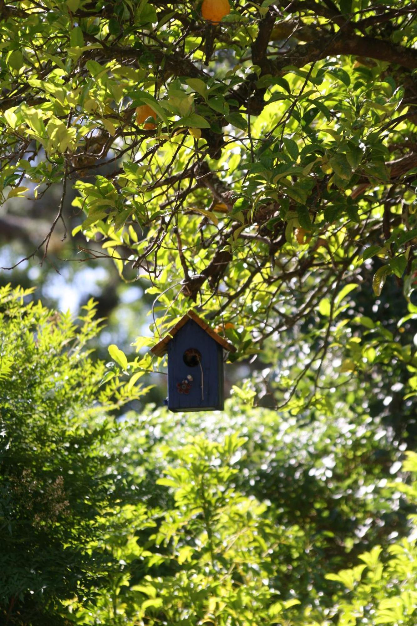Tortelduif Cottage Stellenbosch Luaran gambar